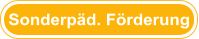 Berichte Sonderpäd. Förderung